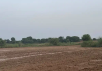 14 Kanal Land Chakwal Neela Dullah