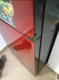 Dawlance fridge 9160 LF refrigerator medium