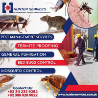 General Fumigation Termite Treatment Pest control services in karachi