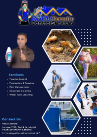 Termite control | Deemak control | Dengue spary,Fumgation Service