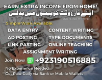 Part Time Full Time Job / Data Entry Job / Typing job / Assignment Job