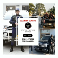 we provide Security Guards , SSG Staff Commandos, Protocol services