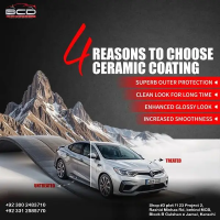 Discount On PPF Paint Protection Film Car Wraps Tints Polish Compounds