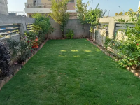 7 Marla House For Rent