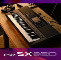 Yamaha PSR-SX920 /Grand Piano/piano/pool table/Billiards/rugs/sofa