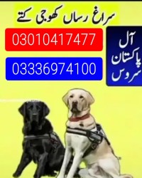 Army dog center 03336974100