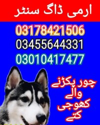 Army dog center 03017735103