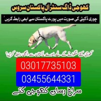 Army dog centre 03017735103