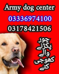 Army dog center balochistan 03336974100